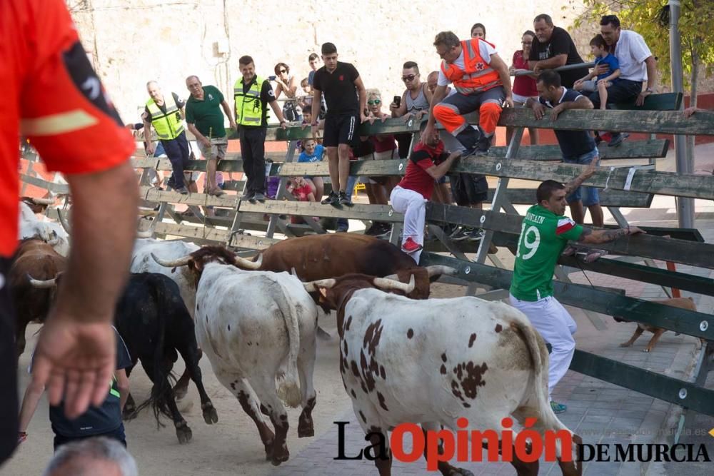 Tercer encierro en Calasparra