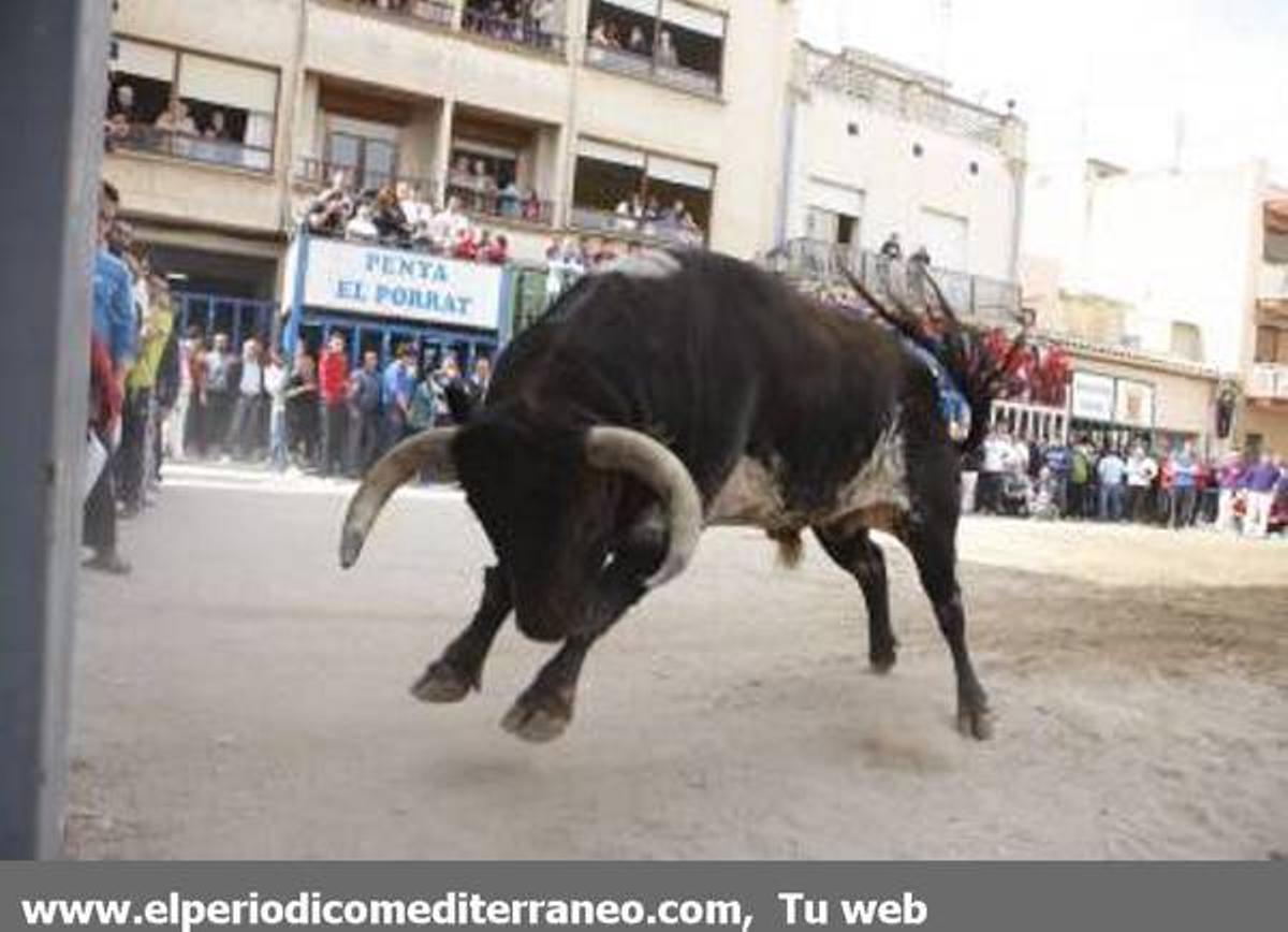 GALERÍA DE FOTOS - Almassora continua con su semana taurina