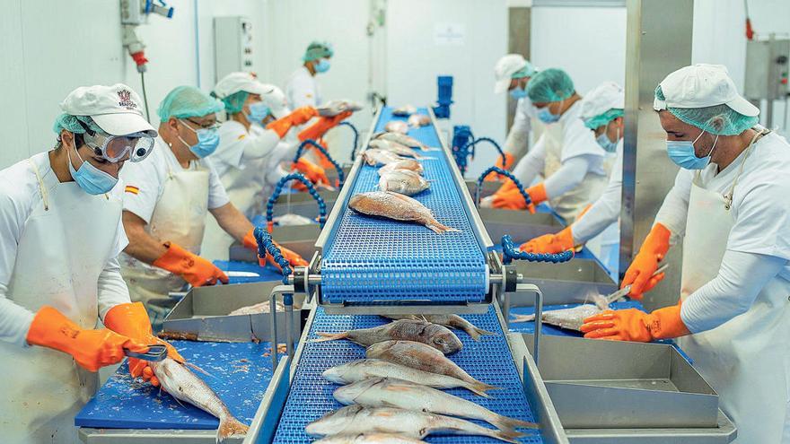 Las propiedades del pescado congelado