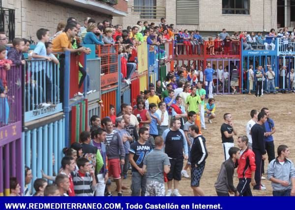 PRIMERA JORNADA DEL CONCURSO DE GANADERÍAS. LA VILAVELLA 2009.