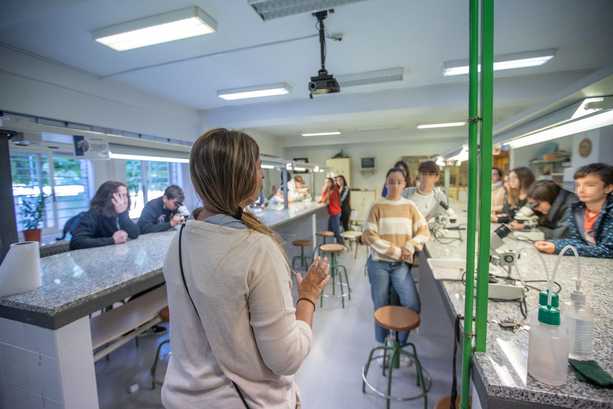 Un instituto «eco friendly» en Elche