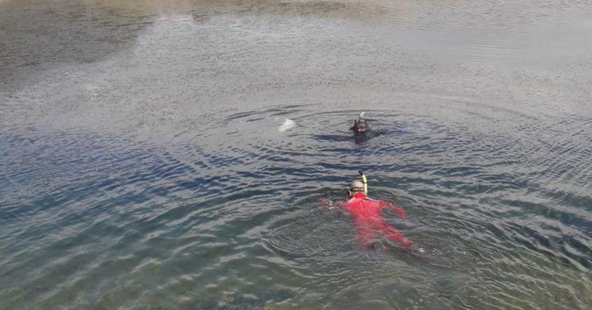 Investigan el hallazgo de un cazador ahogado en una balsa de Alicante