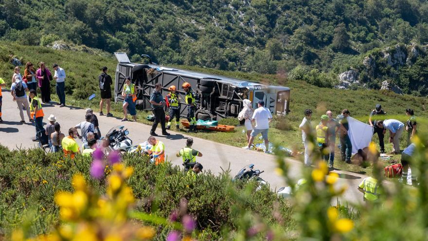 Grave accidente en Covadonga al despeñarse un autobús con niños que iba a los Lagos