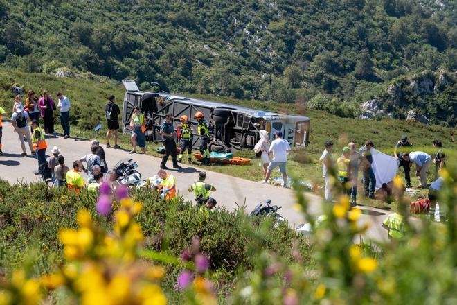 Grave accidente en Covadonga al despeñarse un autobús con niños que iba a los Lagos