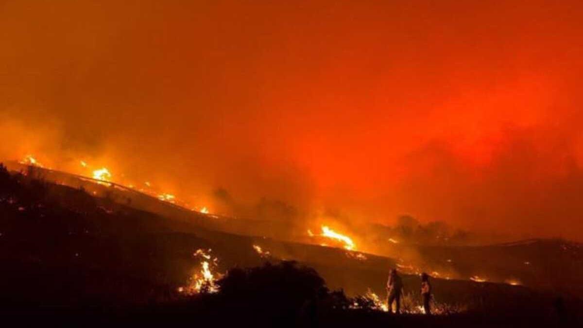 Medios de Brifor durante las tareas de control del incendio de Tenerife