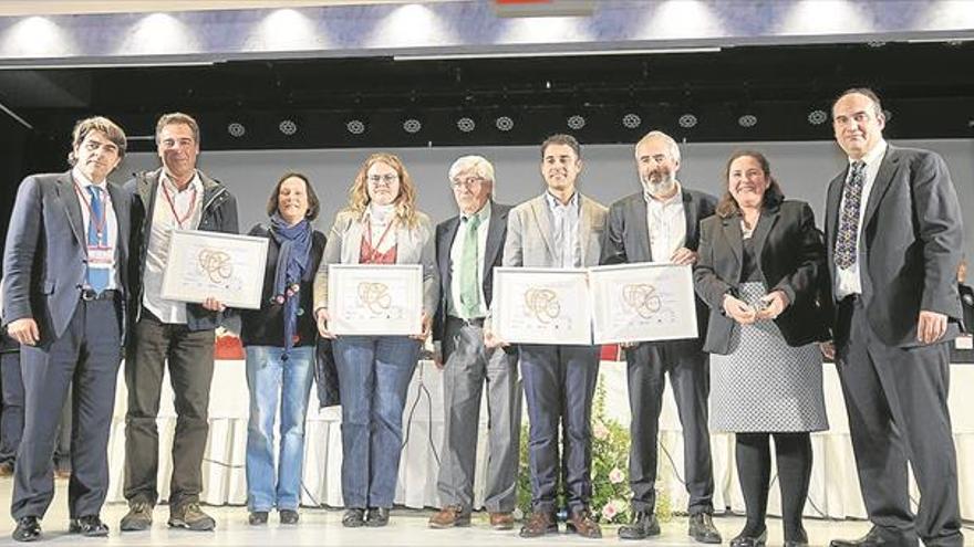 Viana, premio a la mejor iniciativa de innovación en turismo patrimonial