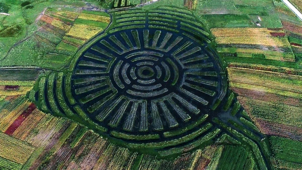 Campos Waru Waru, Perú