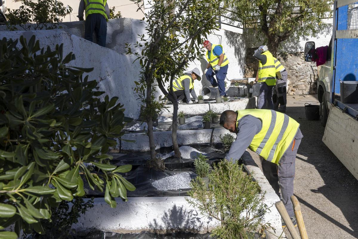 Consejos Comarcales de Empleo