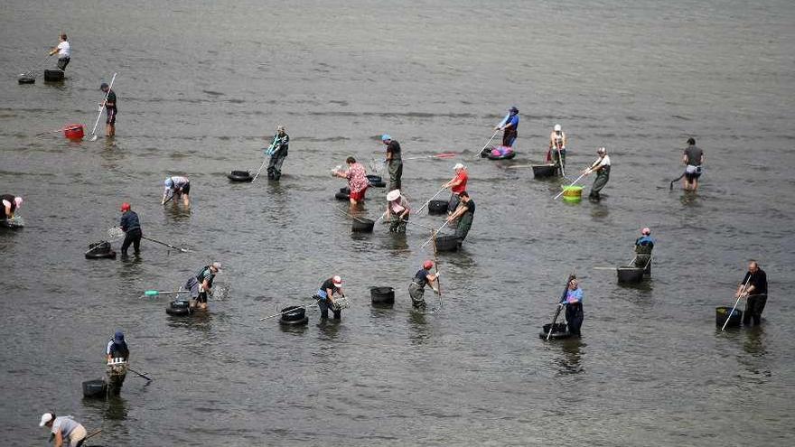 Mariscadoras trabajando este año en la ría de Pontevedra. // Gustavo Santos