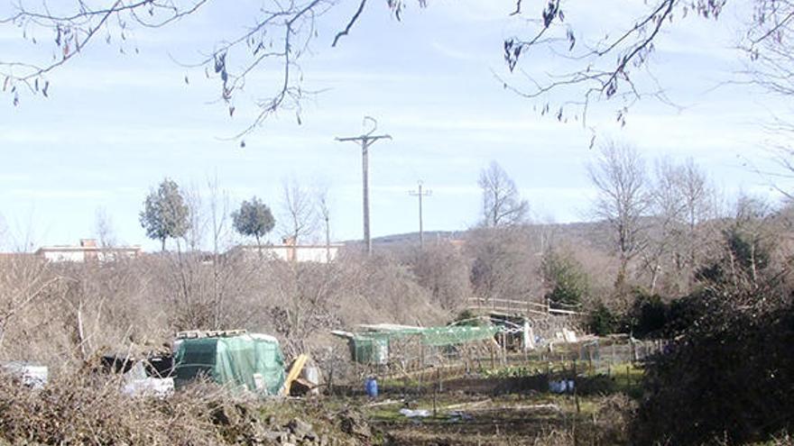 El PSC denuncia el mal estat de la zona  del Bosc de Tosca a Olot