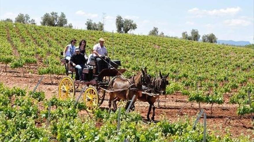 Catas de vino y paseos en calesa, en el Día Europeo del Enoturismo