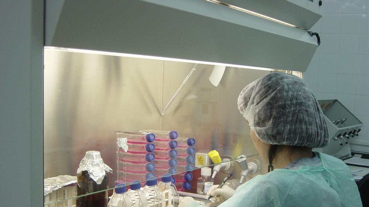 Una investigadora trabaja en un laboratorio de acuicultura en Galicia
