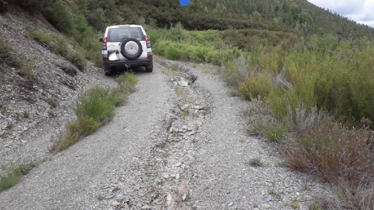 Una pista forestal en Ibias.