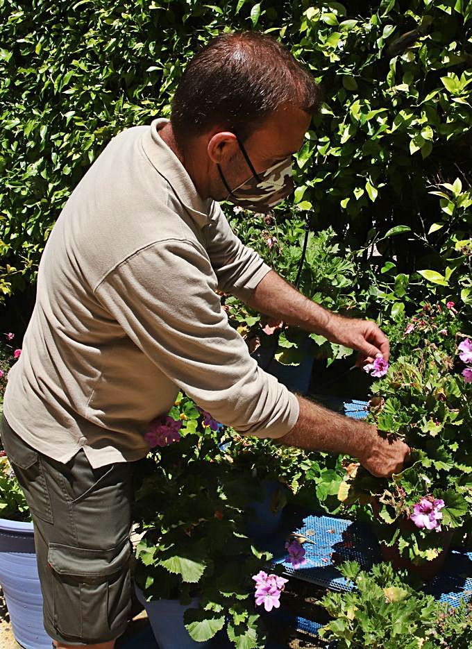 Rafael Ortiz | Repasando el estado de las plantas.