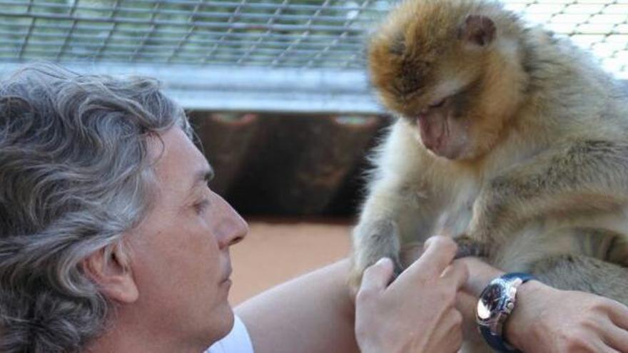 España no es país para animales