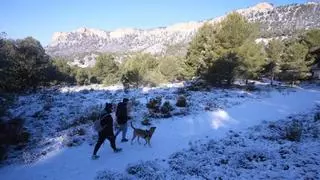 La provincia de Alicante despide un invierno seco con frío y calor extremo