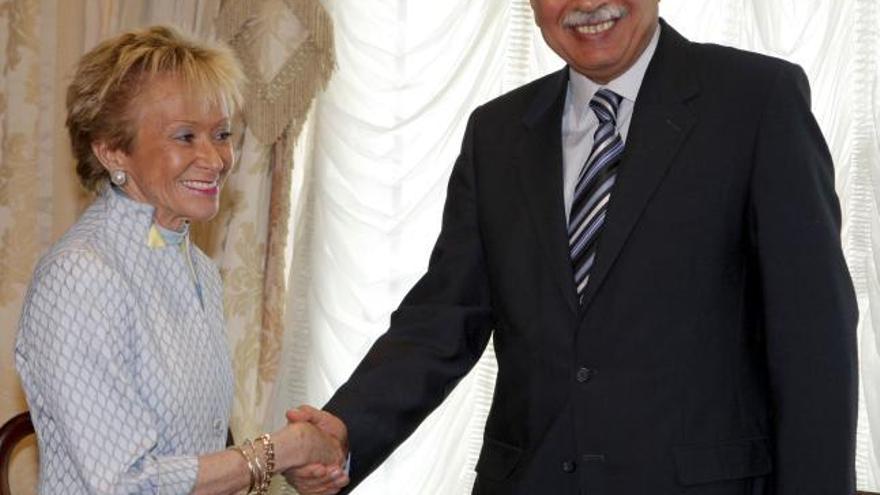 La vicepresidenta primera del Gobierno español, María Teresa Fernández de la Vega, junto al primer ministro egipcio, Ahmed Nazif, durante la reunión que ambos mantuvieron en El Cairo, en el tercer día de la visita oficial a Egipto de la vicepresidenta.