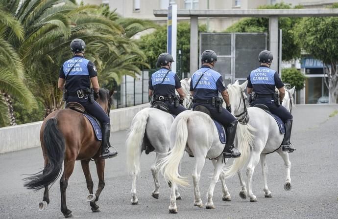 Nuevo servicio de la Policía Local de Las Palmas d