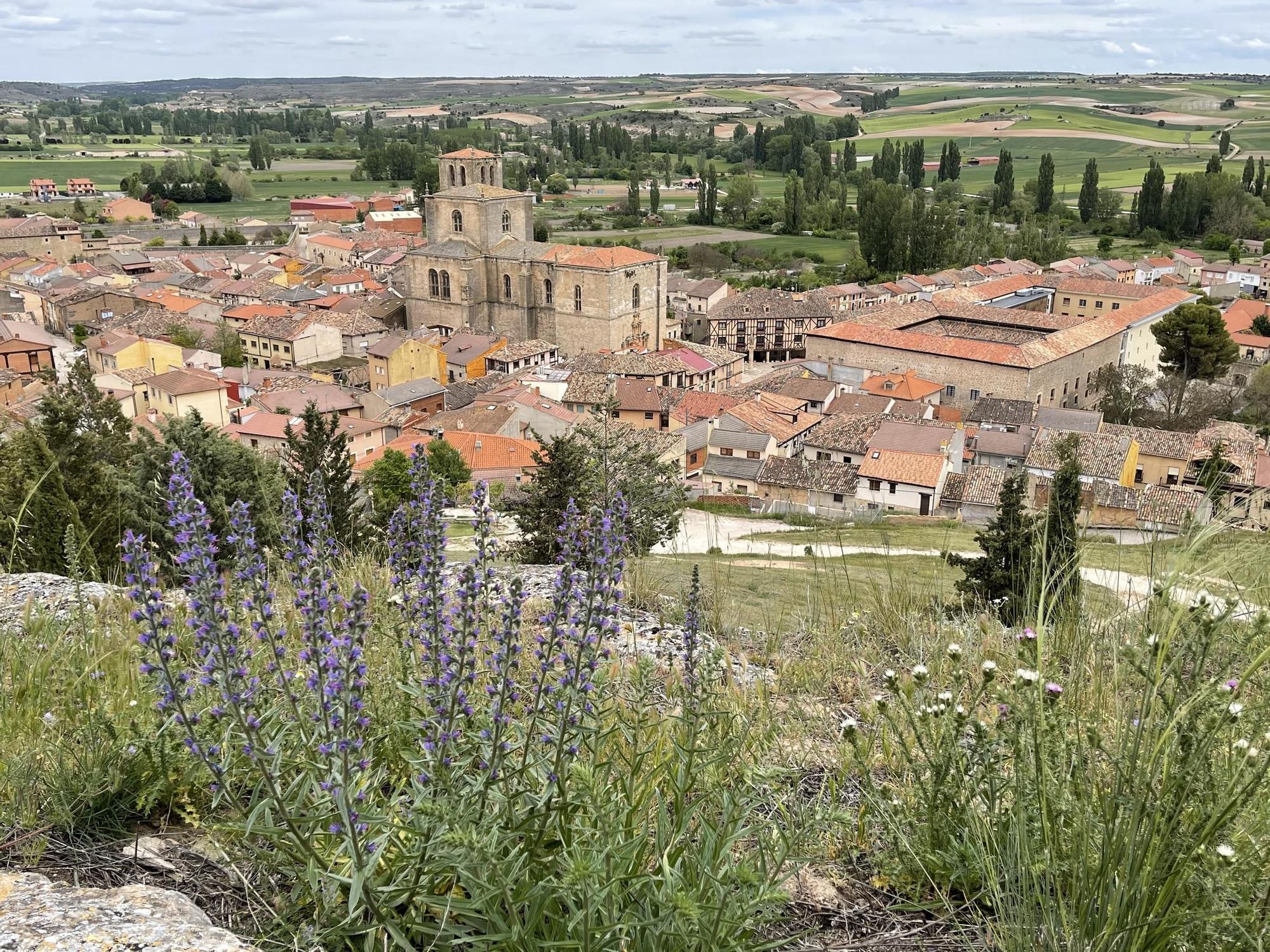 Vistas del pueblo Perañanda de Duero desde sus verdes campos