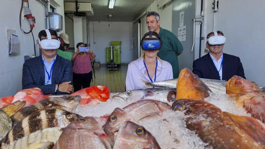 El &quot;turismo marinero&quot; o pescaturismo facturará un 10 % más este verano de plena expansión