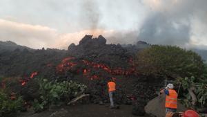 Técnicos del Instituto Volcanológico de Canarias (Involcán) toman muestras de las coladas de lava