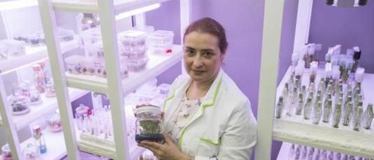 María Albiach, en uno de los laboratorios de Valgenetics en el parque científico de la Universitat.