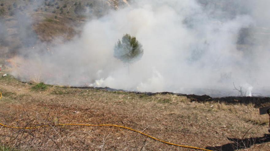 La Conselleria de Medio Ambiente quiere evitar que puedan producirse incendios forestales a causa de quemas