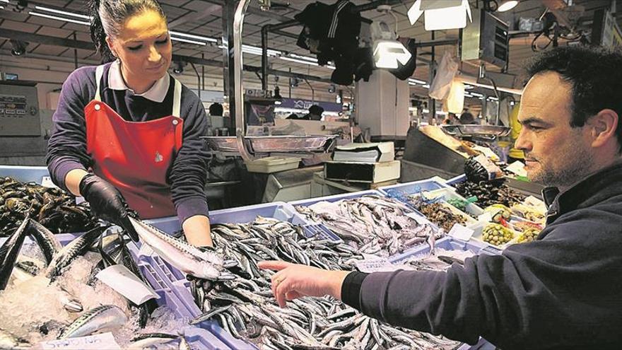 La caballa, versátil y muy valorada en la cocina