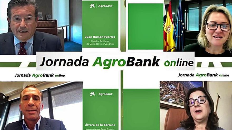 Un momento de la jornada online de AgroBank.