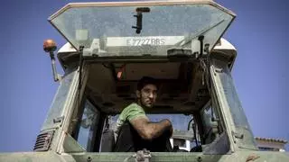 Joaquín, un joven agricultor de Azuara: "Todo el trabajo de mis padres y mis abuelos se ha ido al garete"