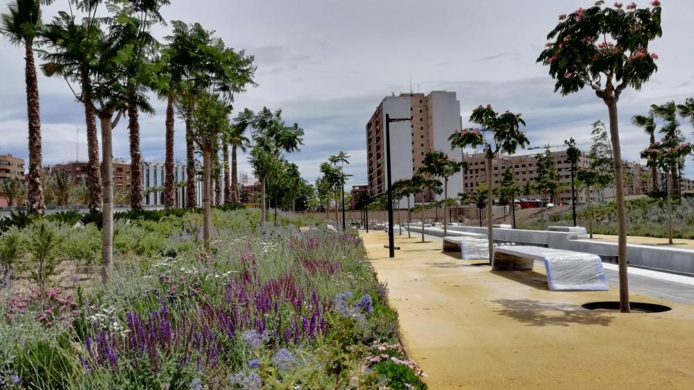 Los jardines del Parque Central florecen