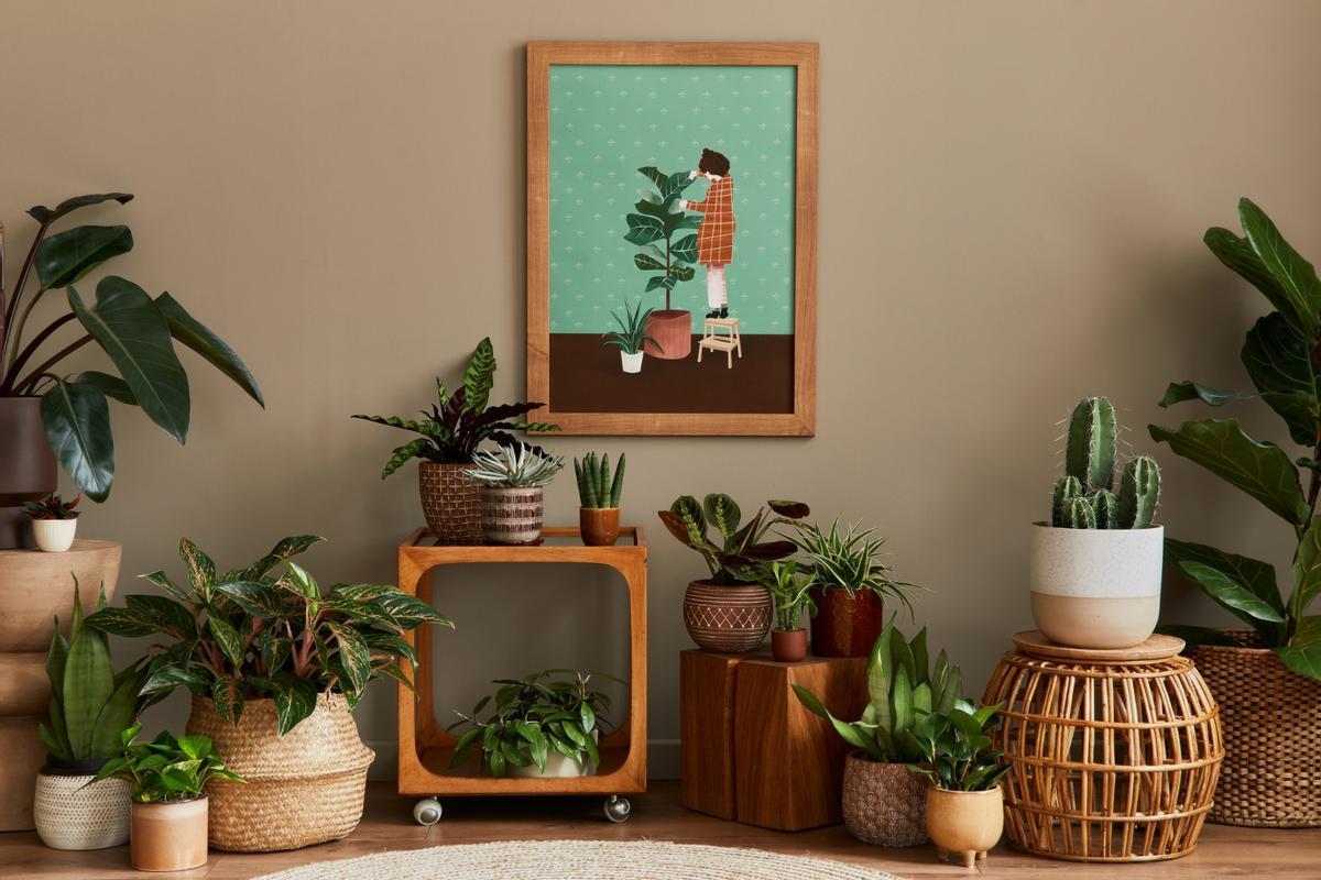 TikTok viraliza este truco para regar las plantas si no vas a estar en casa por vacaciones