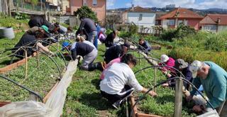 Los huertos urbanos ya huelen a primavera