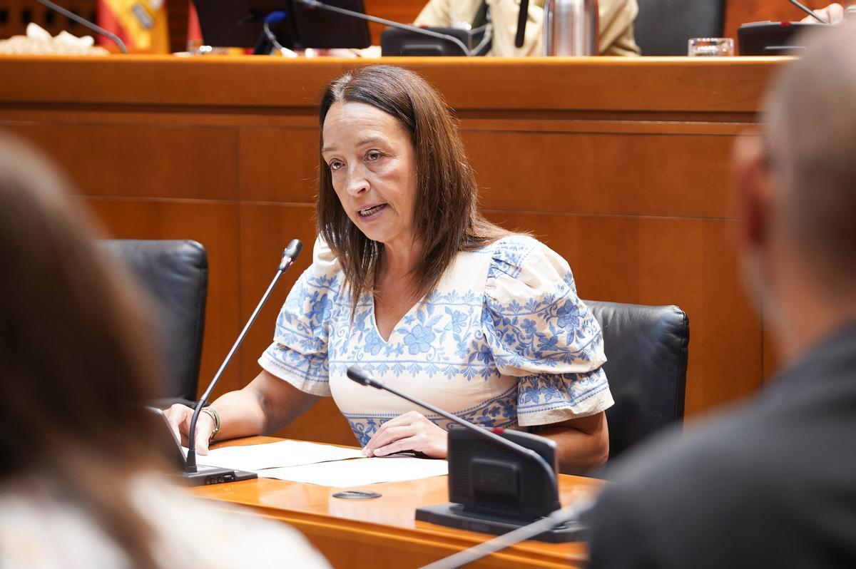 La consejera Susín, en su comparecencia en las Cortes.