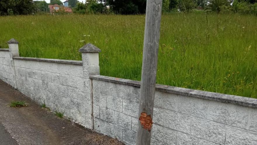 El poste de alumbrado público atacado, con varias muescas. 