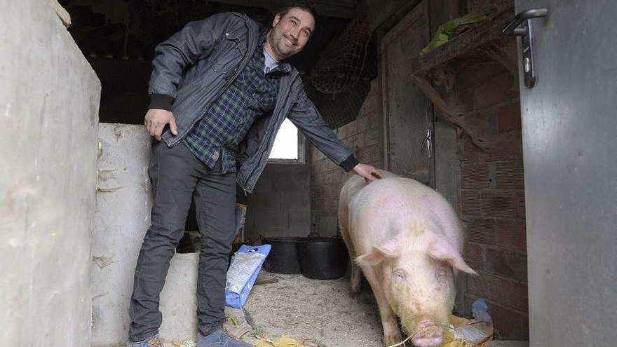 Antonio Pereira muestra el macho que está siendo criado por un particular en Goiás. // Bernabé/Javier Lalín