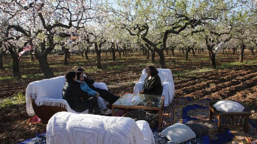 Paredes de flor de almendro en Albocàsser