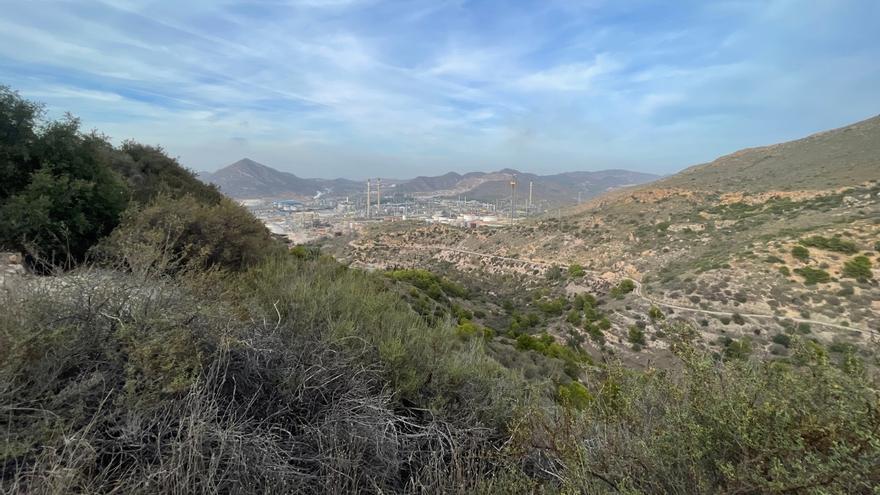 La Comunidad autoriza la caza del jabalí durante 12 horas en montes de Cartagena