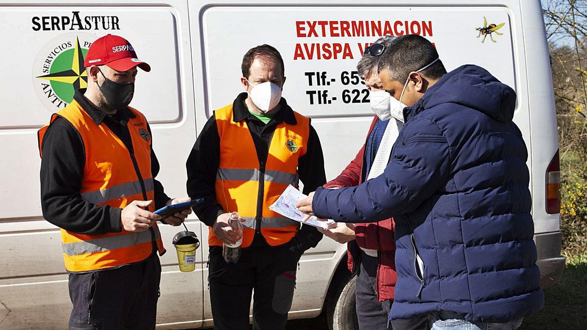 Se inicia la campaña municipal contra la velutina en Siero  | R. P. T.