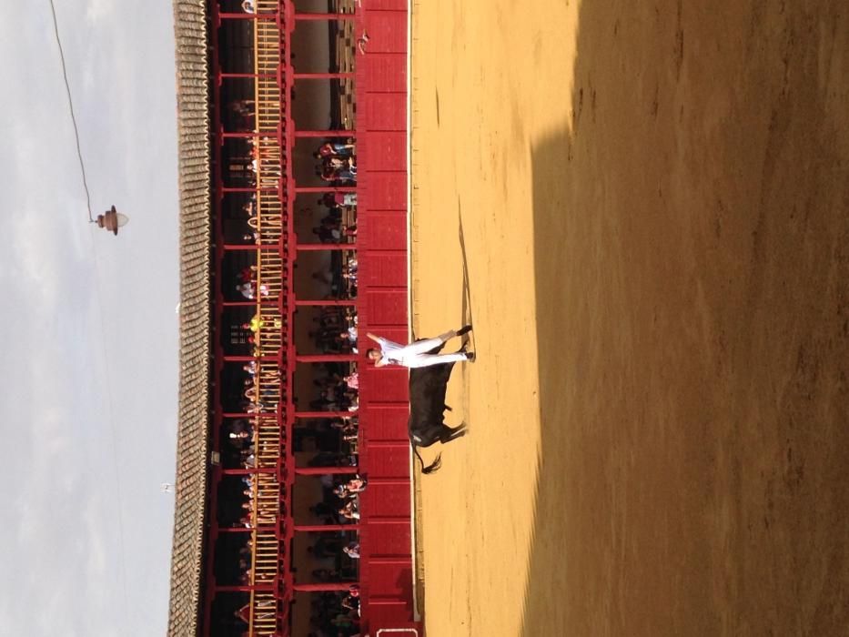 Fiestas Toro- concurso de jóvenes cortadores