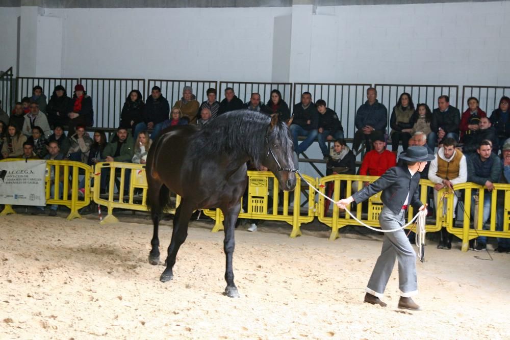 Brío y elegancia en la Feira de Pascua de A Estrada