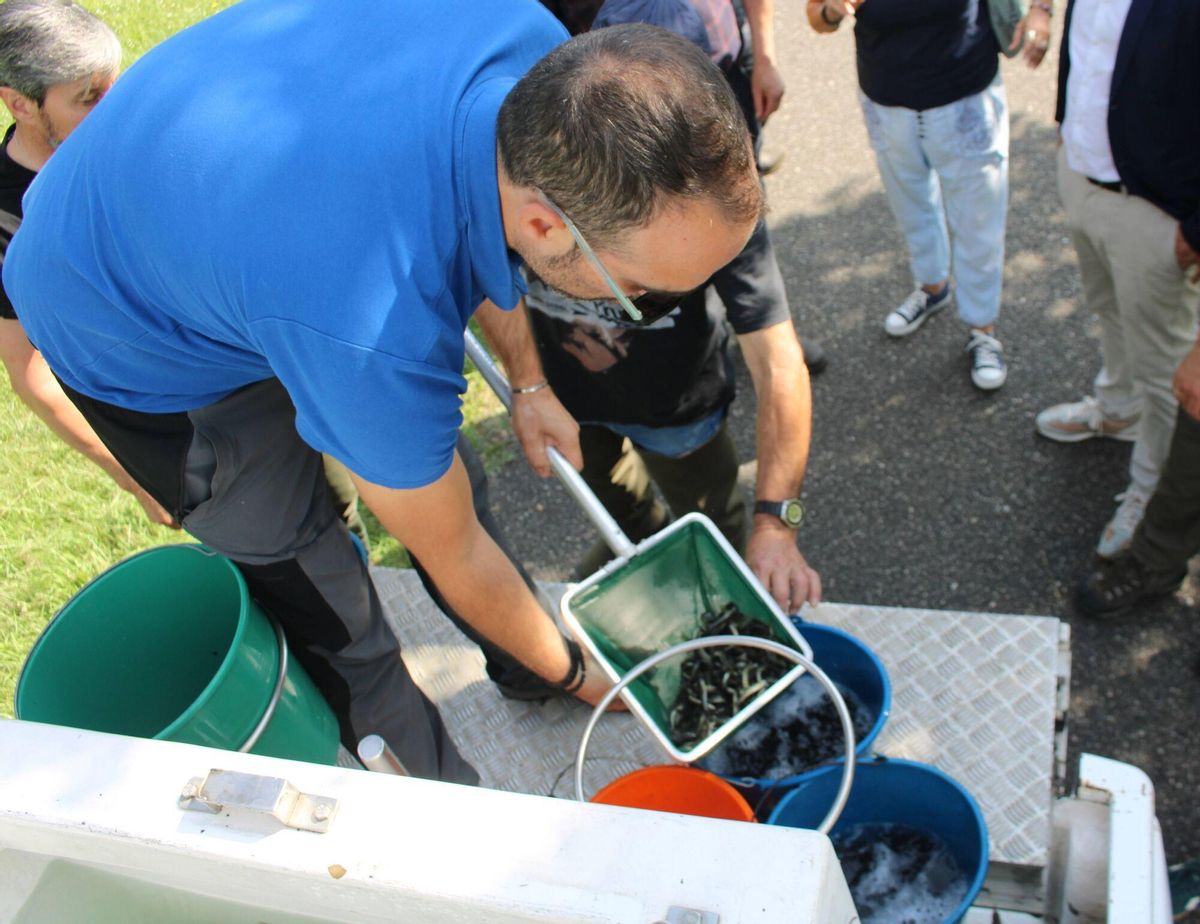 Suelta de Alevines en el río Caudal por parte de la Real Asociación Asturiana de Pesca en Mieres