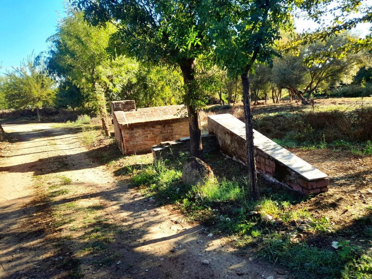 Galería | Así es Carcaboso, un pueblo de Cáceres Galería | Así es Carcaboso, un pueblo de Cáceres