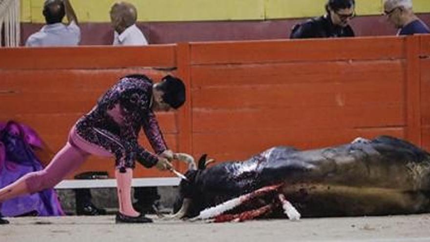 Imagen de una de las últimas corridas en Palma