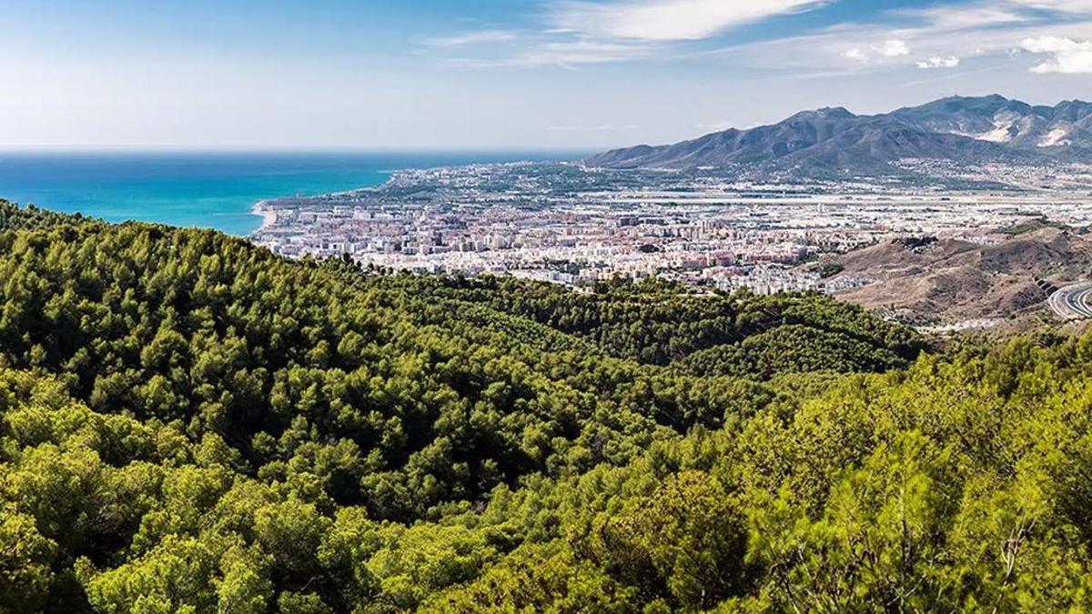 Mirador del Cochino, perfecto para una escapada de otoño: con vistas a la sierra y al mar, y repleto de fauna salvaje