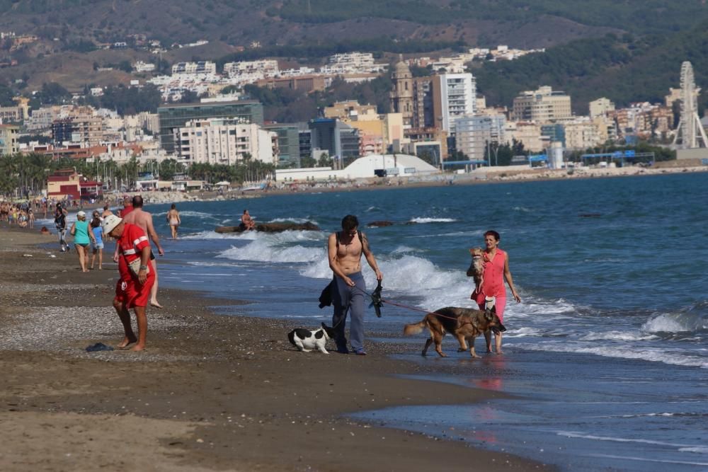 Agradables temperaturas a finales del mes de octubre que llevan a los malagueños a pasar el día en las playas de la capital
