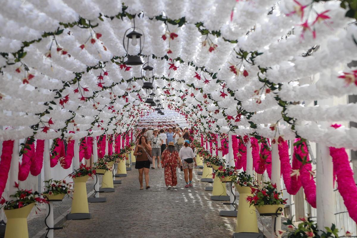 Fotogalería | Campo Maior se engalana con flores hasta el próximo domingo Fotogalería | Campo Maior se engalana con flores hasta el próximo domingo