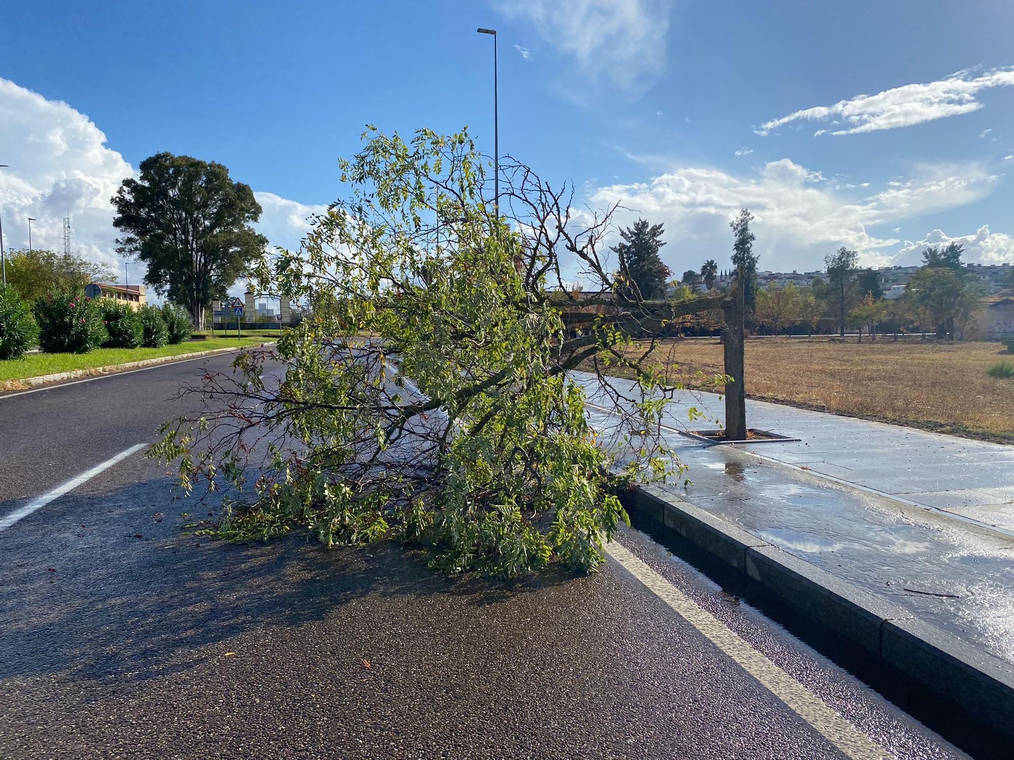 Lluvias en Badajoz