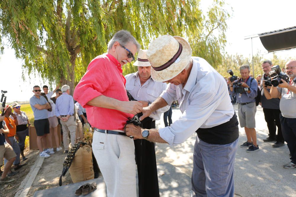 Siega y 'perxa' en l´Albufera