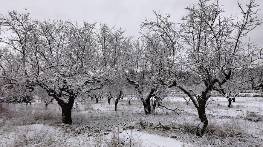 La nieve &quot;transforma&quot; la maravilla geológica de Els Arcs de Castell de Castells